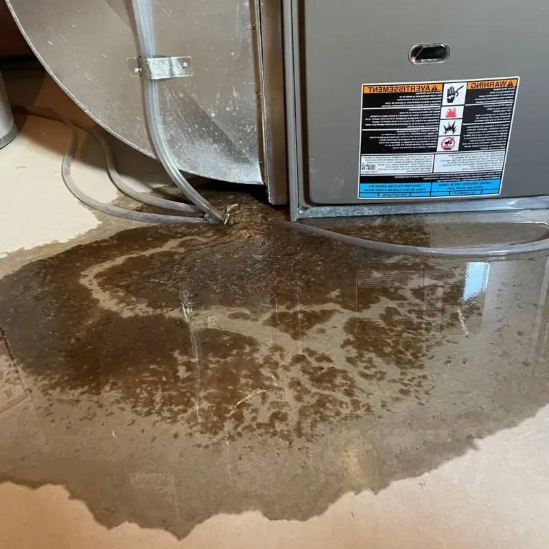 Pipe Burst and Leak Restoration in Otero County, NM