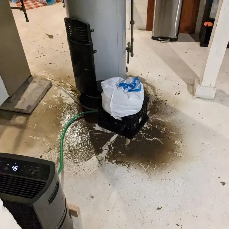 Sewage Backup Cleanup Service in Otero County, NM